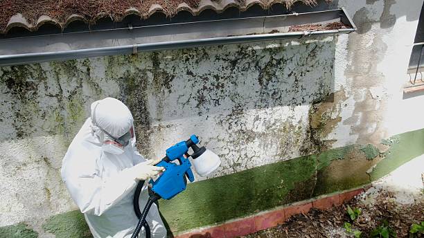 Top rated local Mold Remediation specialists in La Vergne, TN